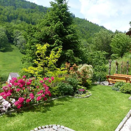 Haus Zur Eule Apartment Todtnau Ngoại thất bức ảnh
